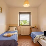 Leonardo Homes Apartment Vinci